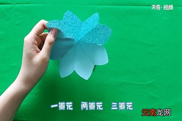 栀子花怎么折