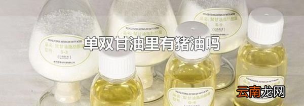 单双甘油里有猪油吗