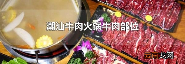 潮汕牛肉火锅牛肉部位