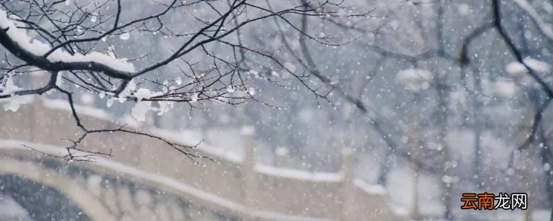 洁白无瑕的雪象征着什么