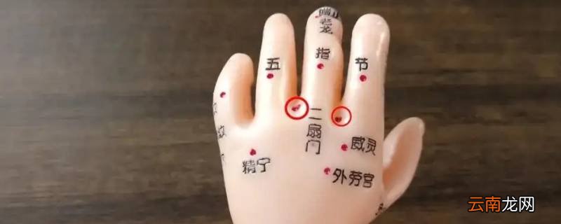 二道门是身体哪个部位