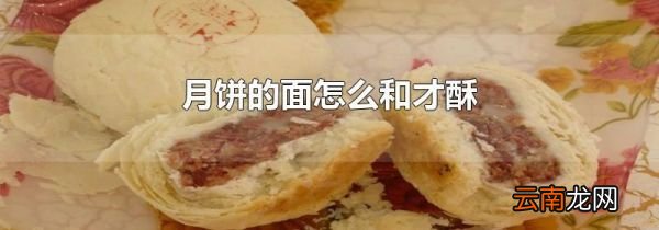 月饼的面怎么和才酥