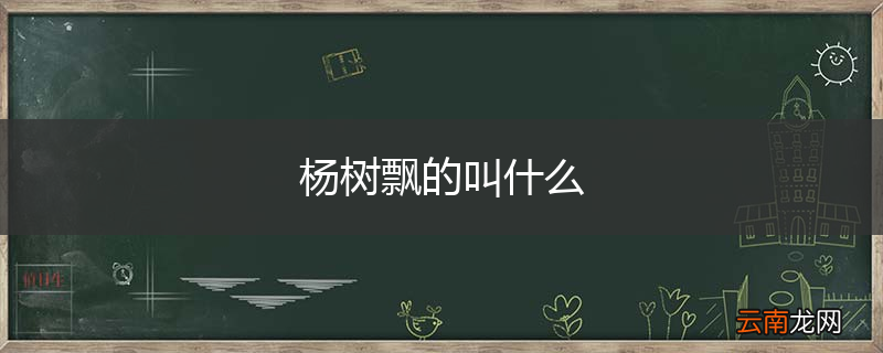 杨树飘的叫什么