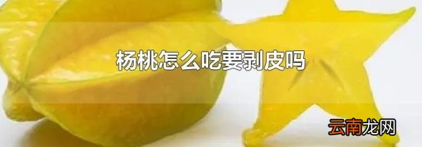 杨桃怎么吃要剥皮吗