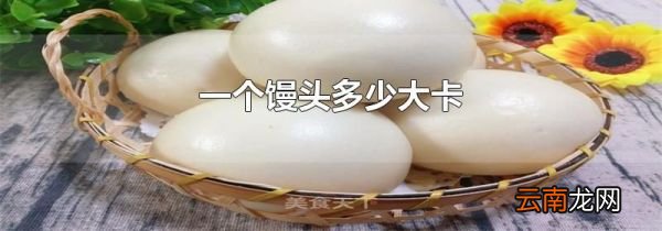 一个馒头多少大卡