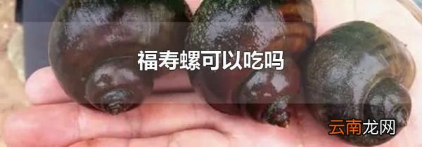 福寿螺可以吃吗