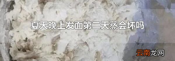 夏天晚上发面第二天蒸会坏吗