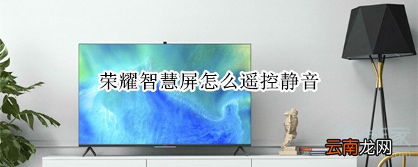 荣耀智慧屏怎么遥控静音