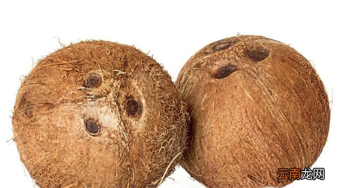 植物种子如何传播及种子播种技巧
