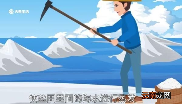 如何制盐 如何制盐方法