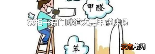 衣柜一开门味道大是甲醛味吗