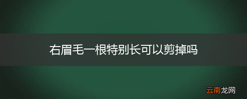 右眉毛一根特别长可以剪掉吗