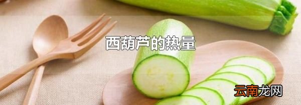西葫芦的热量