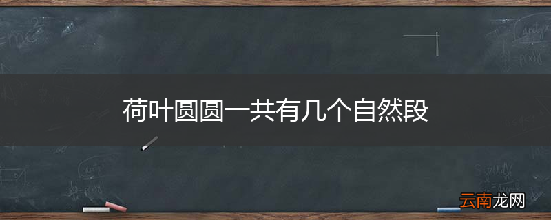 荷叶圆圆一共有几个自然段