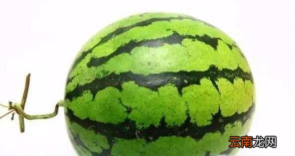 西瓜雕刻简单教程