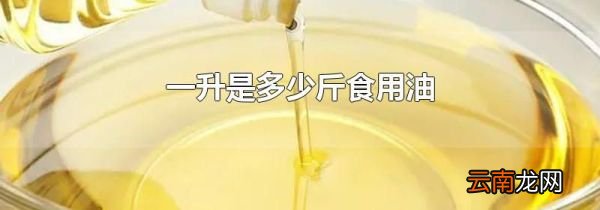 一升是多少斤食用油