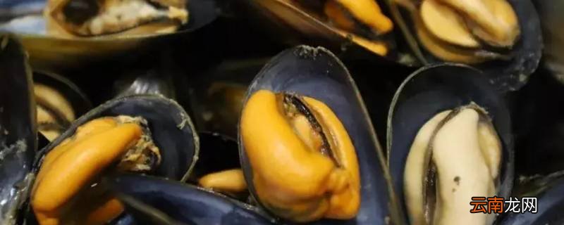 海虹开锅后蒸几分钟熟