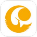 智慧朝阳app中查询公交线路具体操作步骤