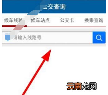 智慧朝阳app中查询公交线路具体操作步骤