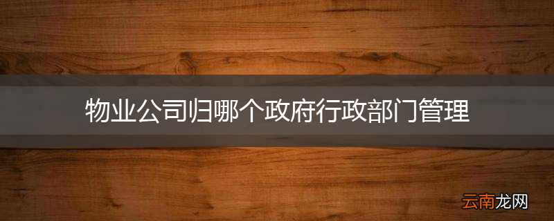 物业公司归哪个政府行政部门管理