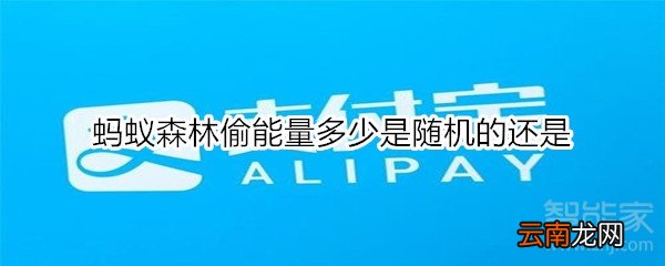 蚂蚁森林偷能量多少是随机的还是