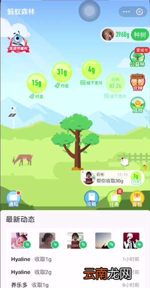 蚂蚁森林104能量是什么