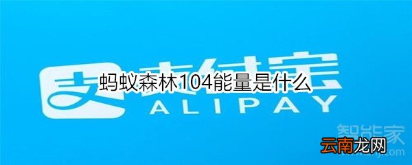 蚂蚁森林104能量是什么
