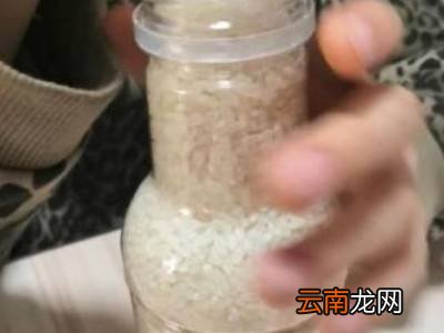 筷子提米一定要加水吗