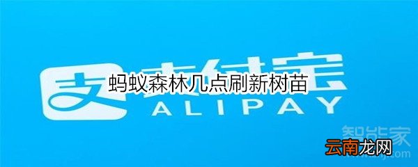 蚂蚁森林几点刷新树苗
