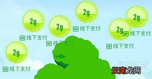 蚂蚁森林几点刷新树苗