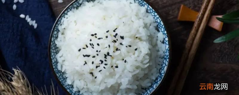 一个人的米饭需要多少水和米