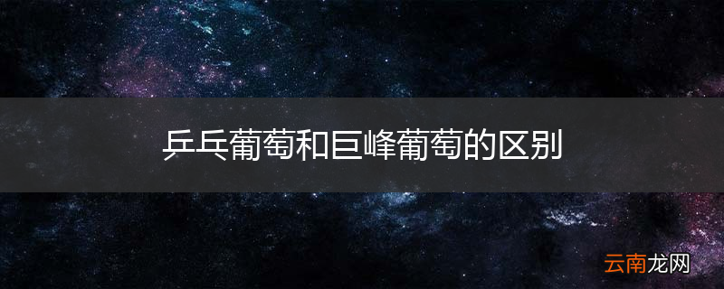 乒乓葡萄和巨峰葡萄的区别