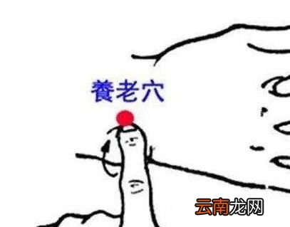 养老穴穴位位置图及作用