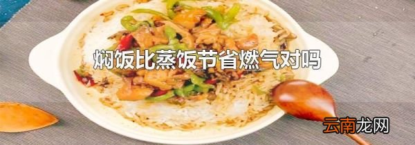 焖饭比蒸饭节省燃气对吗