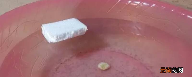 泡沫为什么会浮在水面上