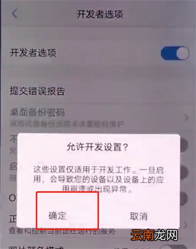 vivox20中打开开发者选项的简单步骤