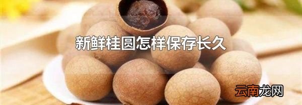 新鲜桂圆怎样保存长久
