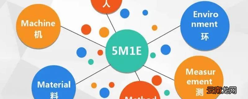 5m1e的内容是什么