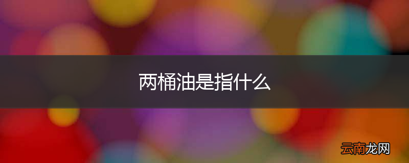 两桶油是指什么