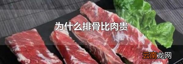 为什么排骨比肉贵