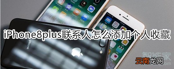 iPhone8plus联系人怎么添加个人收藏