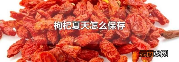 枸杞夏天怎么保存