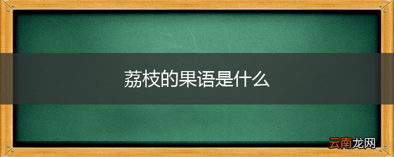 荔枝的果语是什么