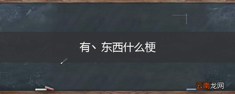 有丶东西什么梗