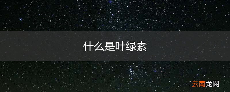 什么是叶绿素