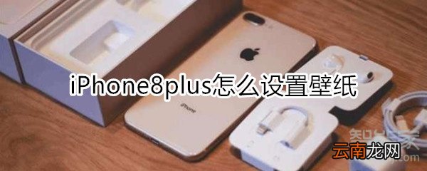 iPhone8plus怎么设置壁纸