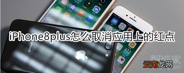 iPhone8plus怎么取消应用上的红点