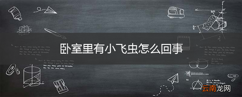 卧室里有小飞虫怎么回事