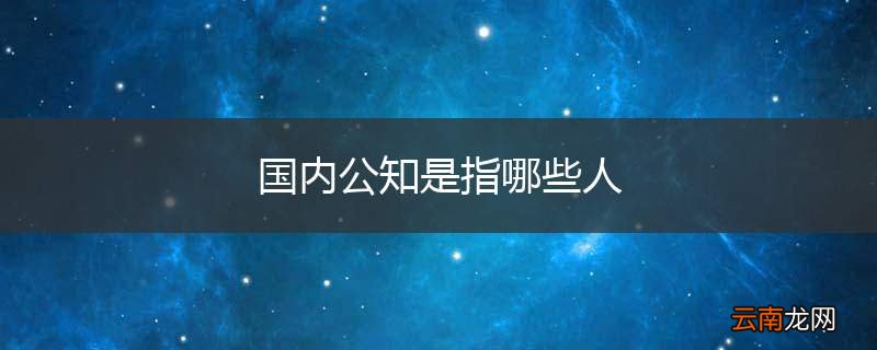 国内公知是指哪些人