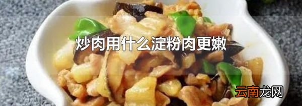炒肉用什么淀粉肉更嫩